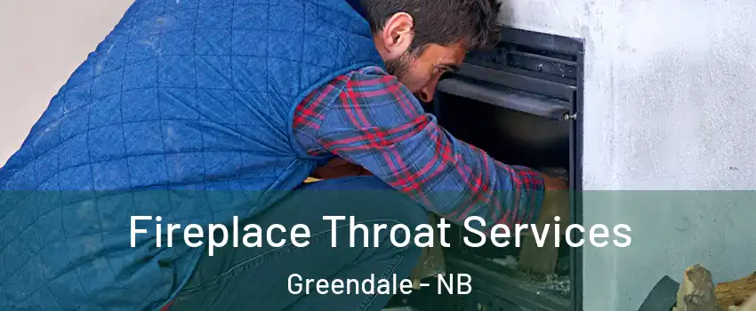  Fireplace Throat Services Greendale - NB