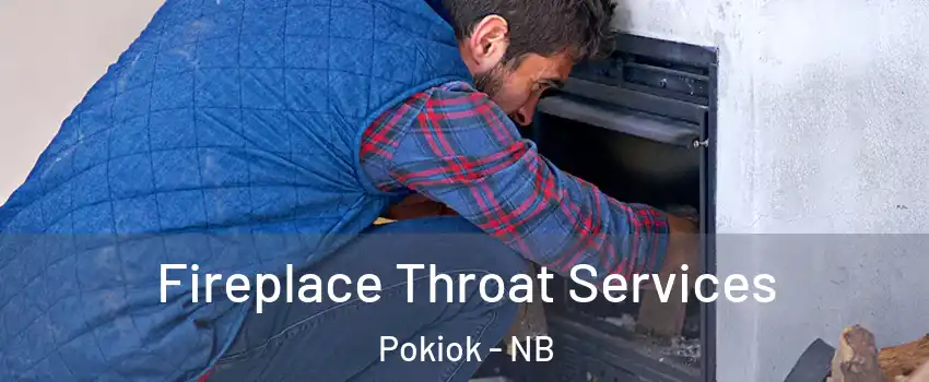  Fireplace Throat Services Pokiok - NB