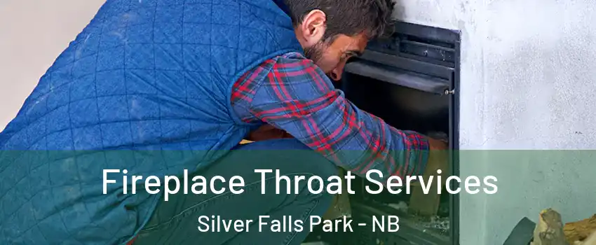  Fireplace Throat Services Silver Falls Park - NB