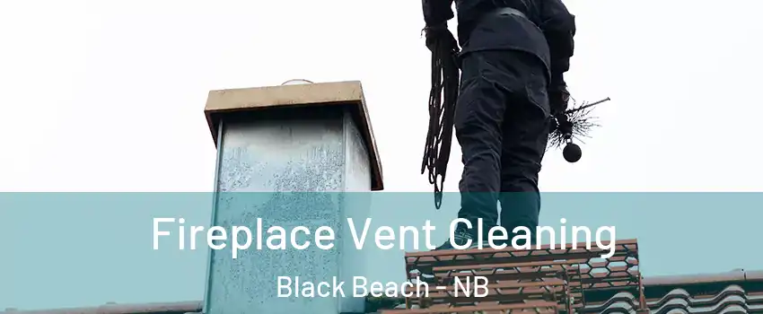  Fireplace Vent Cleaning Black Beach - NB