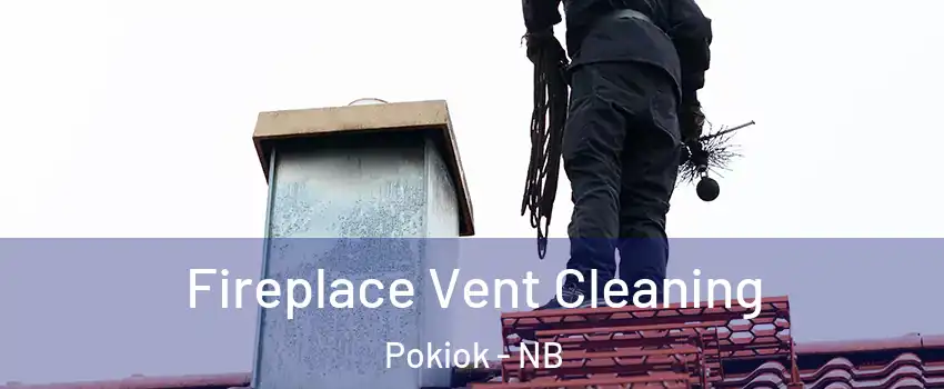  Fireplace Vent Cleaning Pokiok - NB