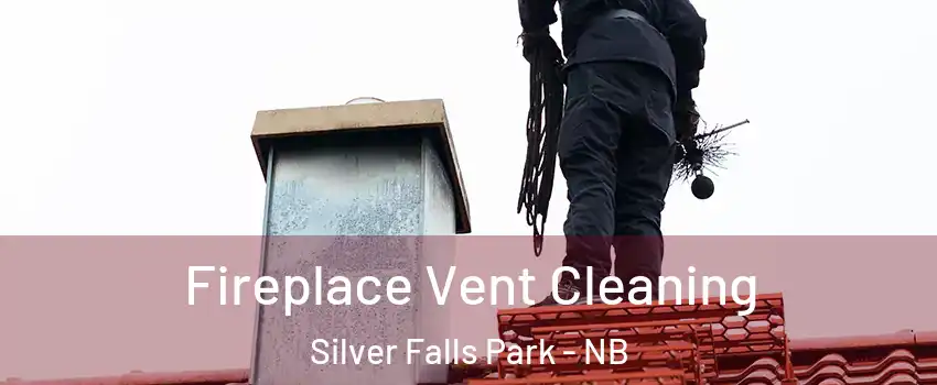  Fireplace Vent Cleaning Silver Falls Park - NB