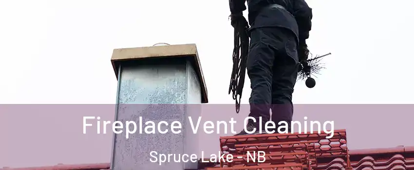  Fireplace Vent Cleaning Spruce Lake - NB