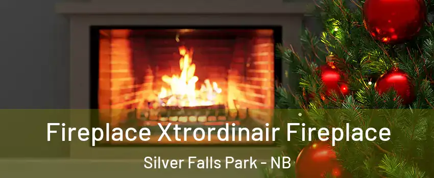 Fireplace Xtrordinair Fireplace Silver Falls Park - NB