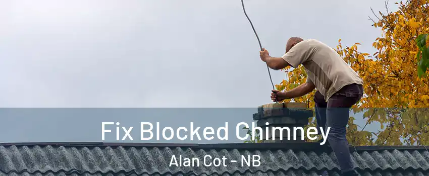  Fix Blocked Chimney Alan Cot - NB