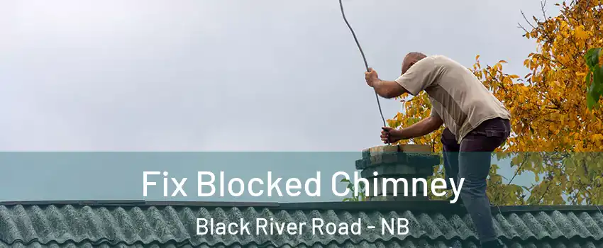  Fix Blocked Chimney Black River Road - NB
