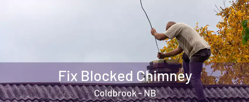  Fix Blocked Chimney Coldbrook - NB