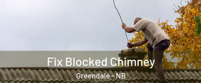  Fix Blocked Chimney Greendale - NB