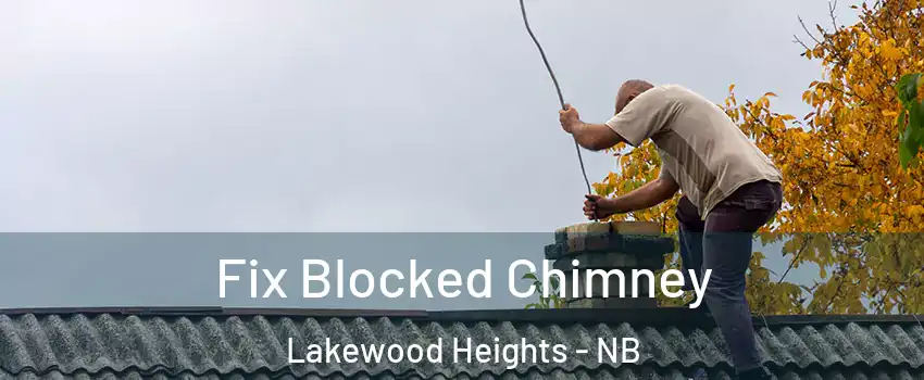  Fix Blocked Chimney Lakewood Heights - NB