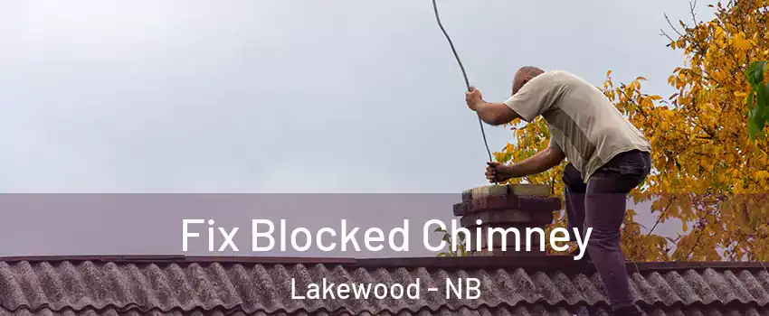 Fix Blocked Chimney Lakewood - NB