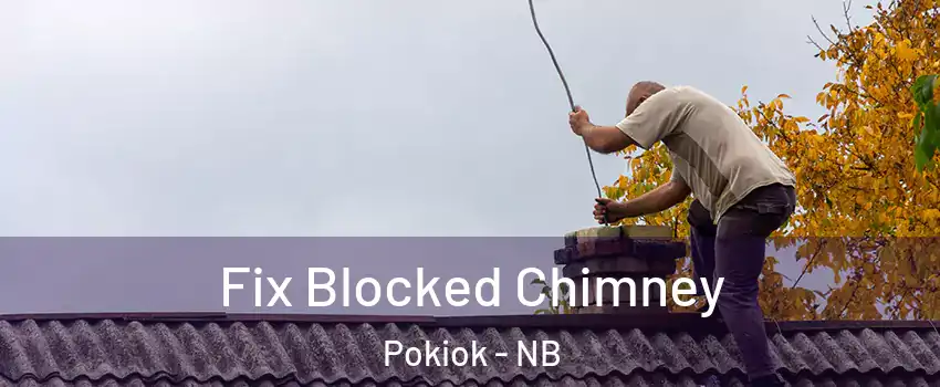  Fix Blocked Chimney Pokiok - NB