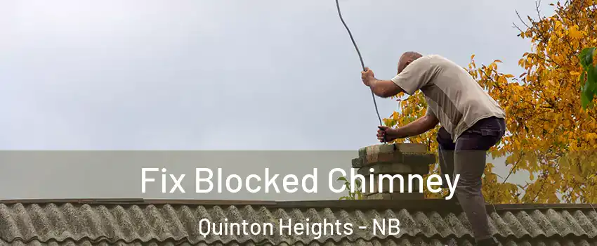  Fix Blocked Chimney Quinton Heights - NB