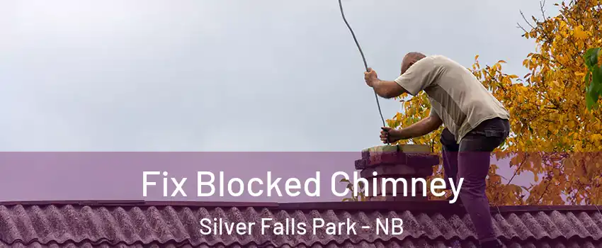  Fix Blocked Chimney Silver Falls Park - NB