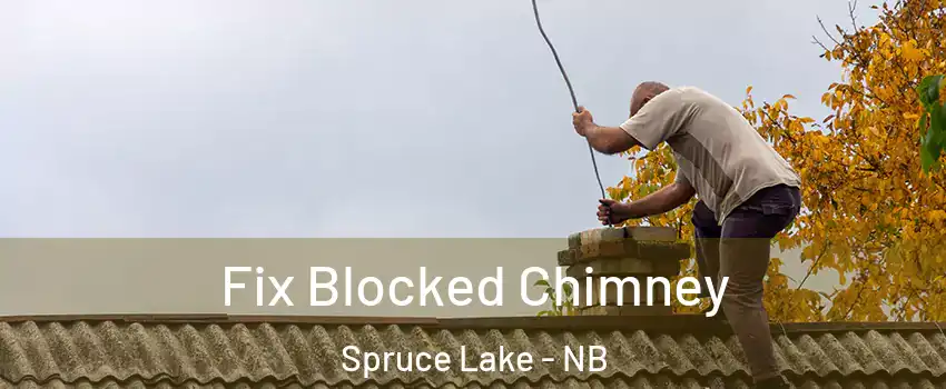  Fix Blocked Chimney Spruce Lake - NB