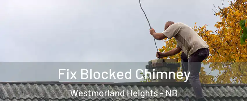  Fix Blocked Chimney Westmorland Heights - NB