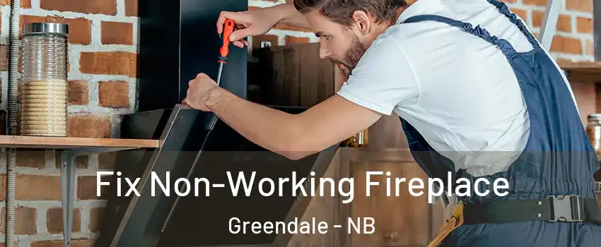  Fix Non-Working Fireplace Greendale - NB