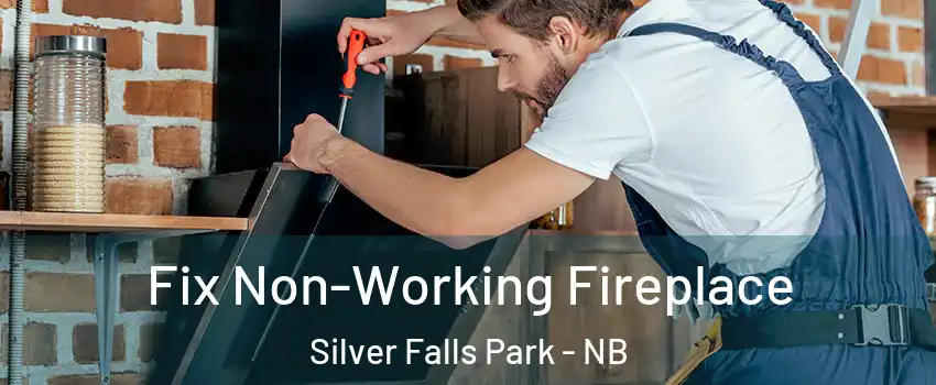  Fix Non-Working Fireplace Silver Falls Park - NB