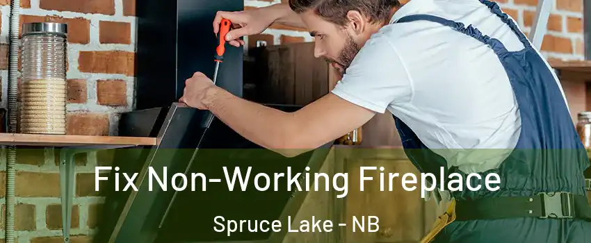  Fix Non-Working Fireplace Spruce Lake - NB