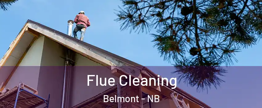  Flue Cleaning Belmont - NB
