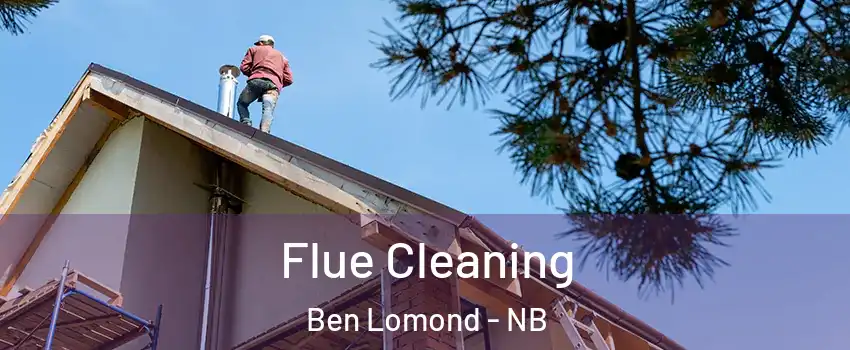  Flue Cleaning Ben Lomond - NB