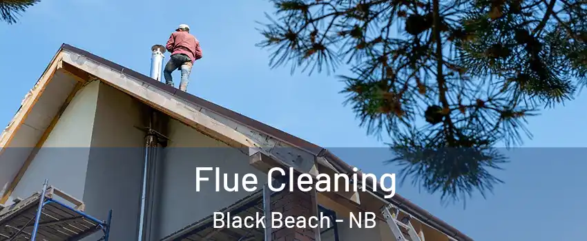  Flue Cleaning Black Beach - NB