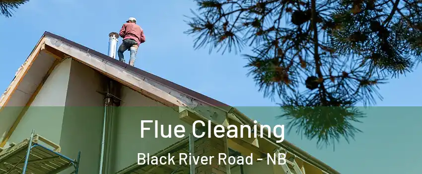  Flue Cleaning Black River Road - NB