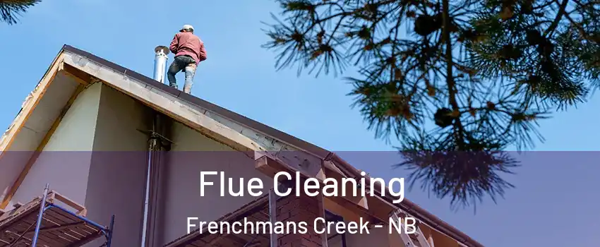 Flue Cleaning Frenchmans Creek - NB
