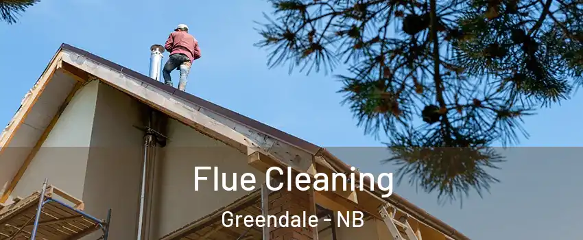  Flue Cleaning Greendale - NB