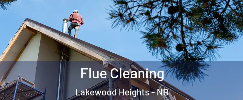  Flue Cleaning Lakewood Heights - NB