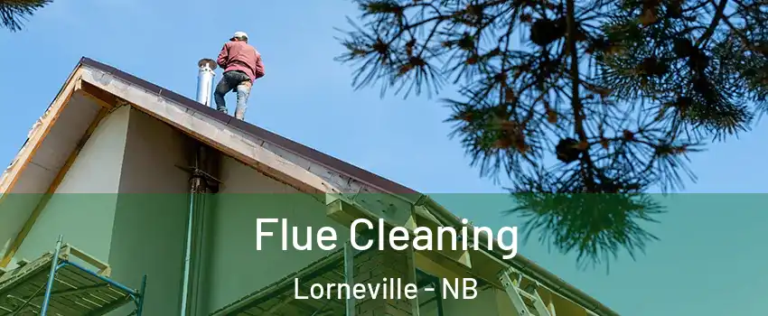  Flue Cleaning Lorneville - NB