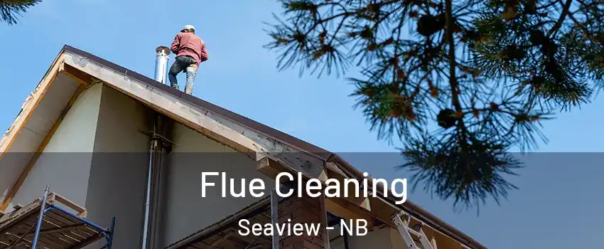  Flue Cleaning Seaview - NB