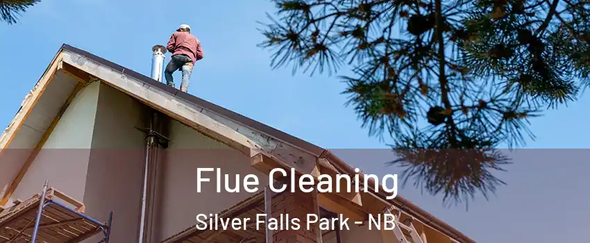  Flue Cleaning Silver Falls Park - NB