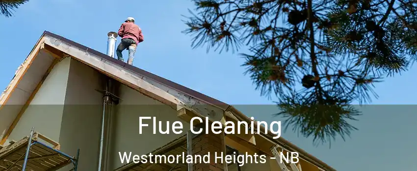  Flue Cleaning Westmorland Heights - NB