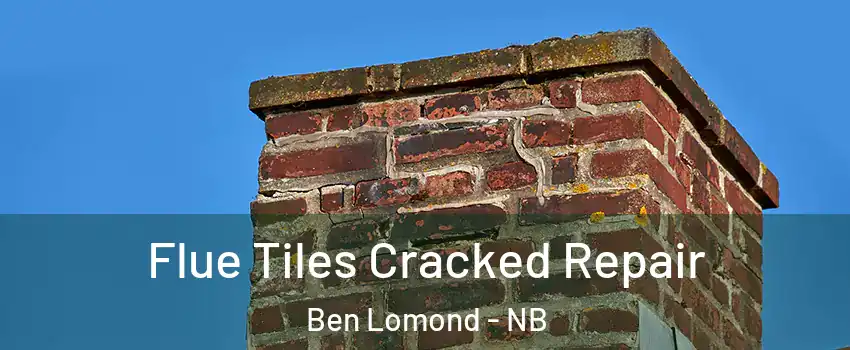  Flue Tiles Cracked Repair Ben Lomond - NB