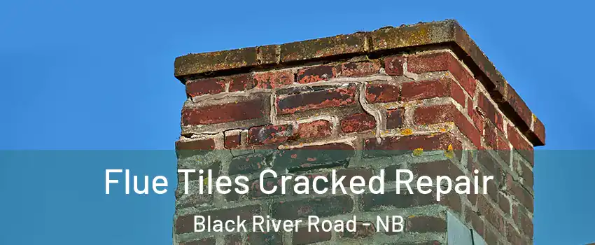  Flue Tiles Cracked Repair Black River Road - NB