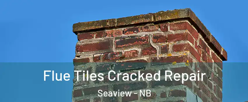  Flue Tiles Cracked Repair Seaview - NB