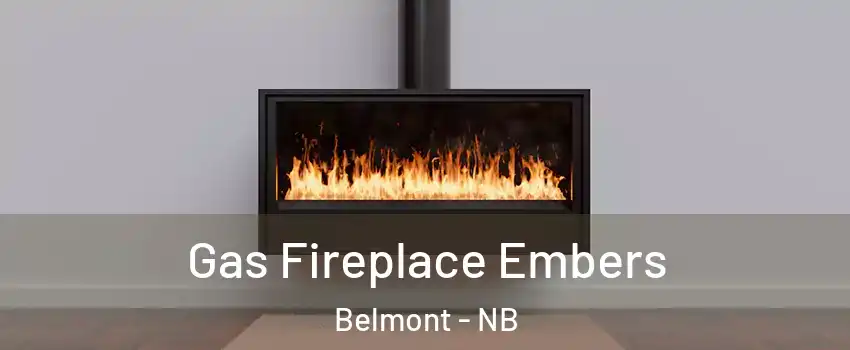  Gas Fireplace Embers Belmont - NB
