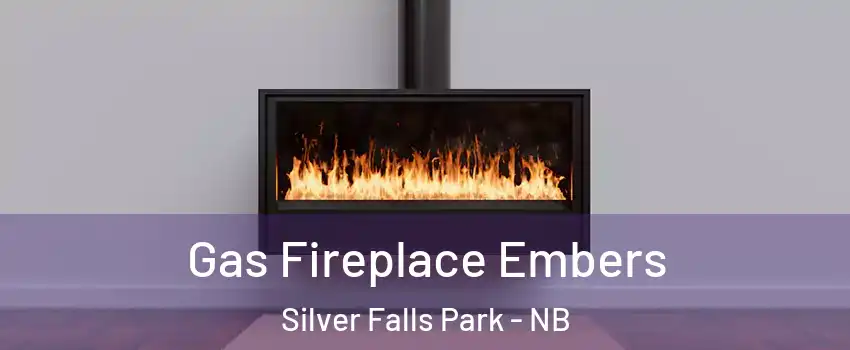  Gas Fireplace Embers Silver Falls Park - NB