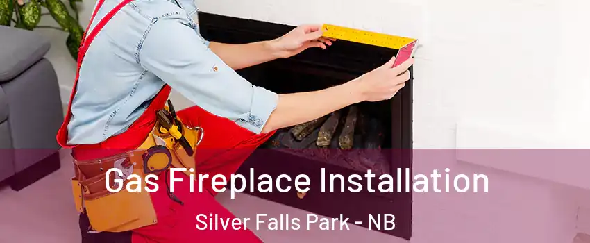  Gas Fireplace Installation Silver Falls Park - NB