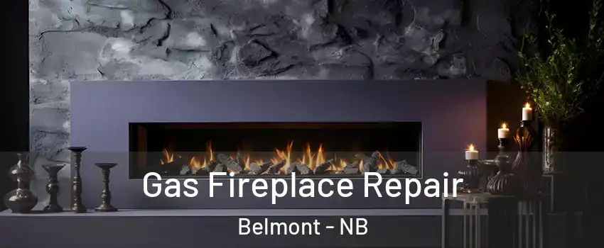  Gas Fireplace Repair Belmont - NB