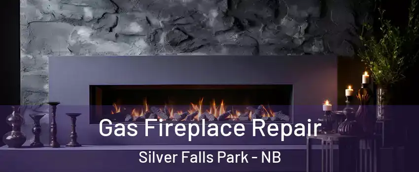  Gas Fireplace Repair Silver Falls Park - NB