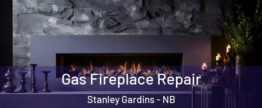  Gas Fireplace Repair Stanley Gardins - NB