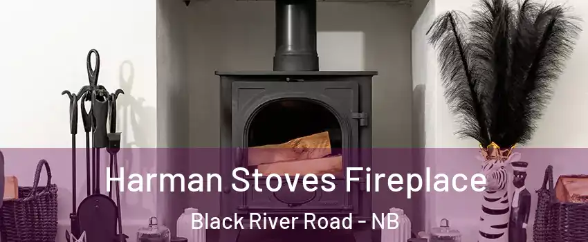  Harman Stoves Fireplace Black River Road - NB