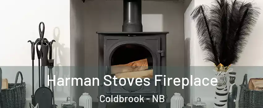  Harman Stoves Fireplace Coldbrook - NB