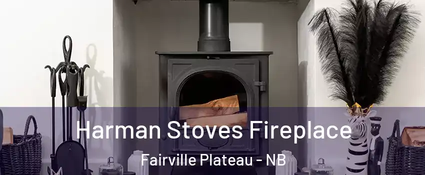  Harman Stoves Fireplace Fairville Plateau - NB