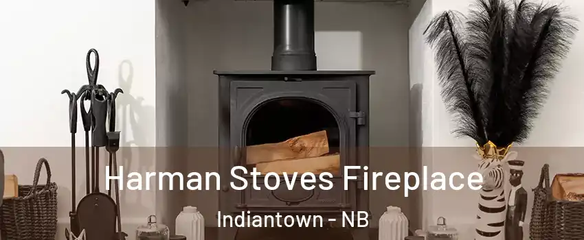  Harman Stoves Fireplace Indiantown - NB