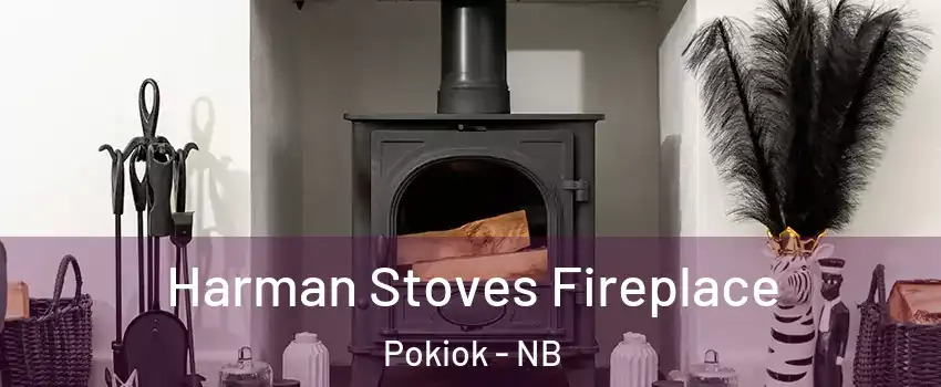  Harman Stoves Fireplace Pokiok - NB