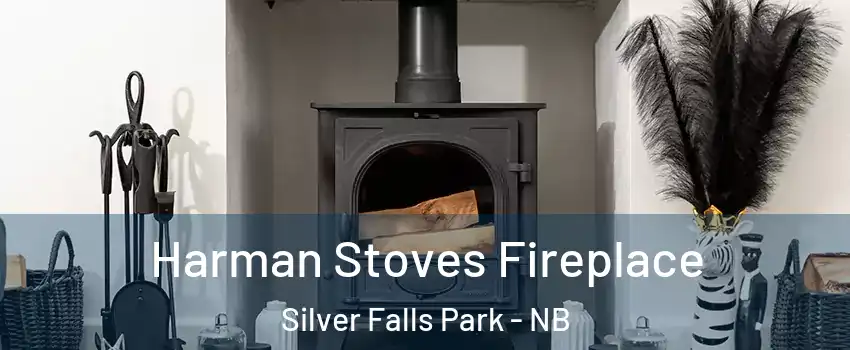  Harman Stoves Fireplace Silver Falls Park - NB