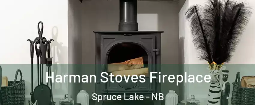  Harman Stoves Fireplace Spruce Lake - NB