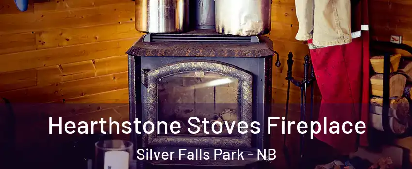 Hearthstone Stoves Fireplace Silver Falls Park - NB